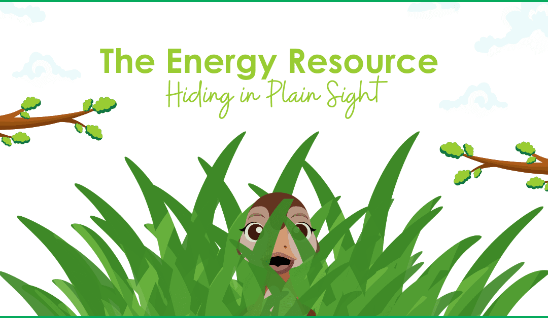 The Energy Resource Hiding in Plain Sight