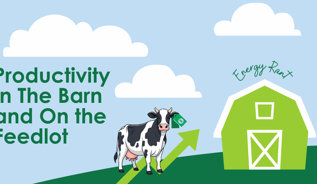 Productivity In The Barn and On the Feedlot