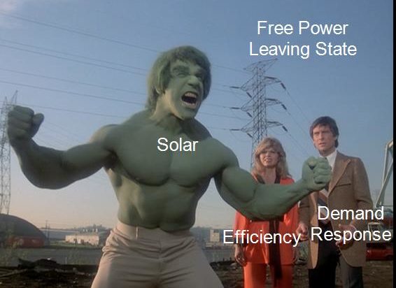 Energy Efficiency in a Land of Renewable Foie Gras, Michaels Energy