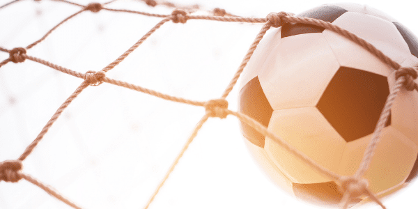 image of a soccer ball in a net