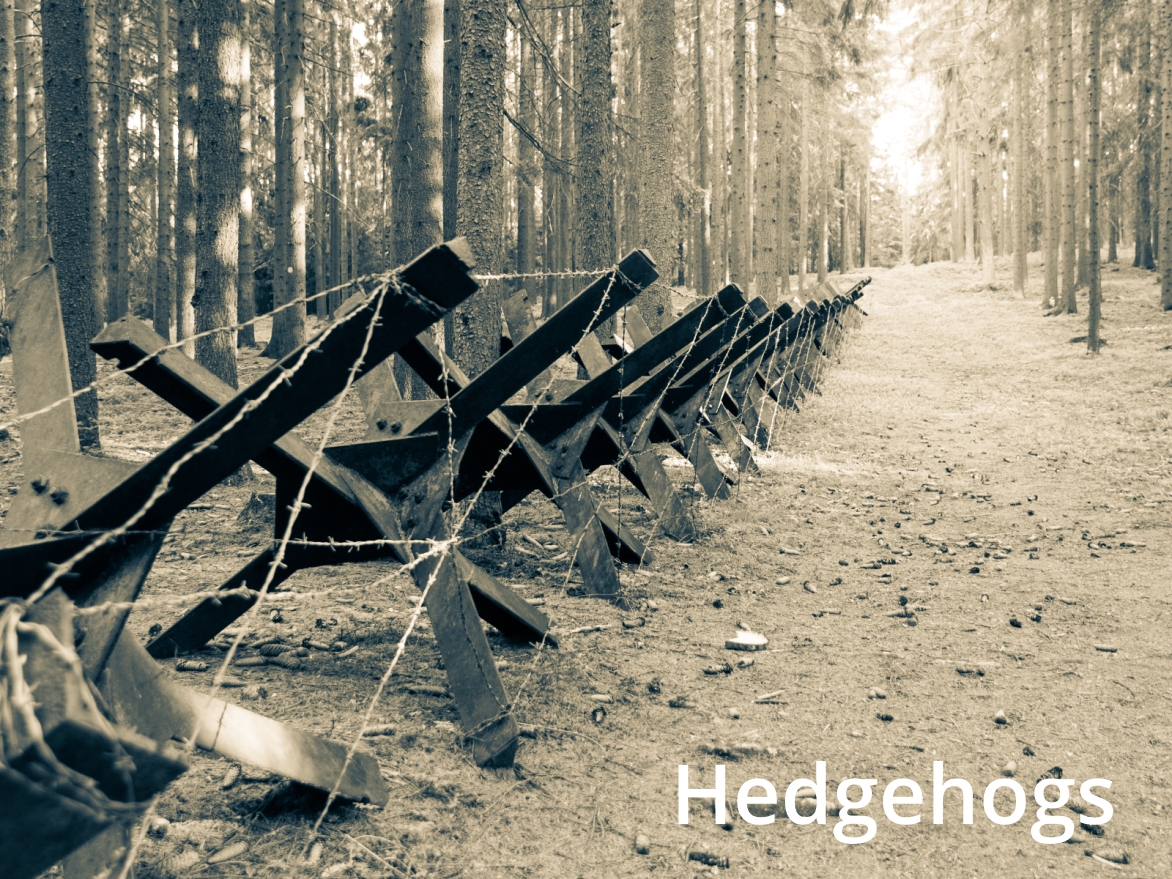 NMEC Hedgehogs and Straw Dogs, Michaels Energy