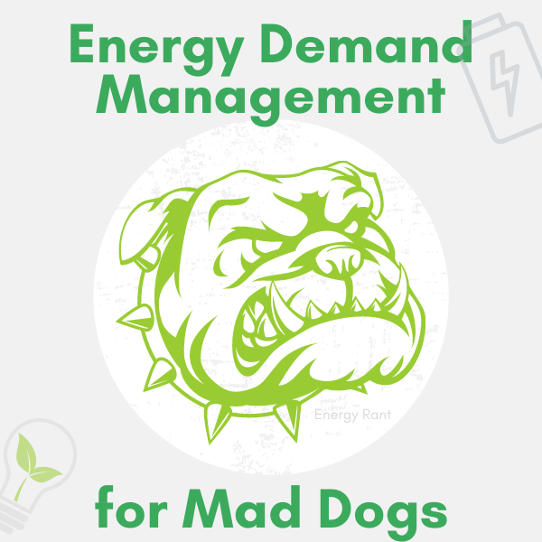 Energy Demand Management for Mad Dogs, Michaels Energy