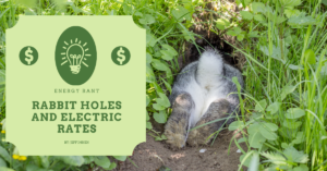 Rabbit Holes and Electric Rates