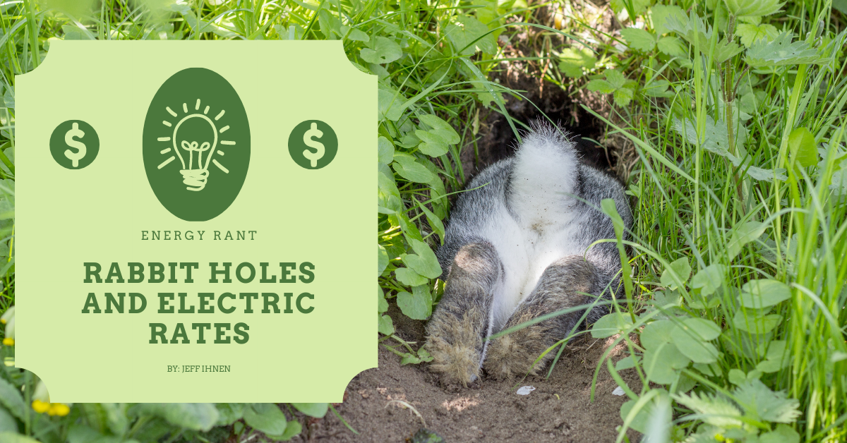 Rabbit Holes and Electric Rates, Michaels Energy
