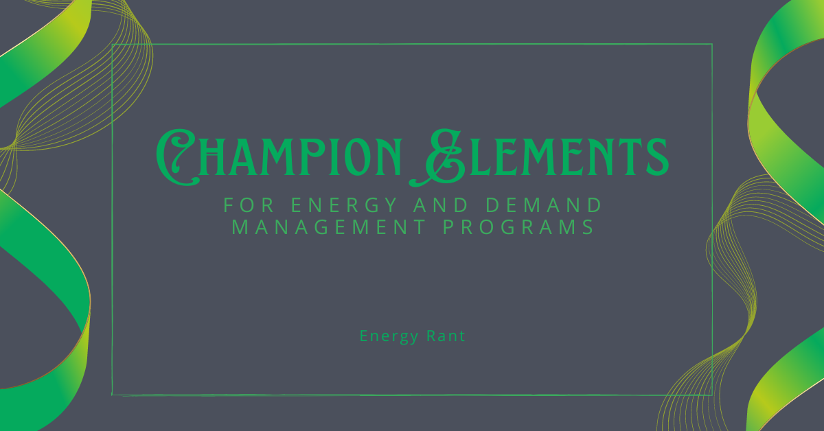 Champion Elements for Energy and Demand Management Programs, Michaels Energy