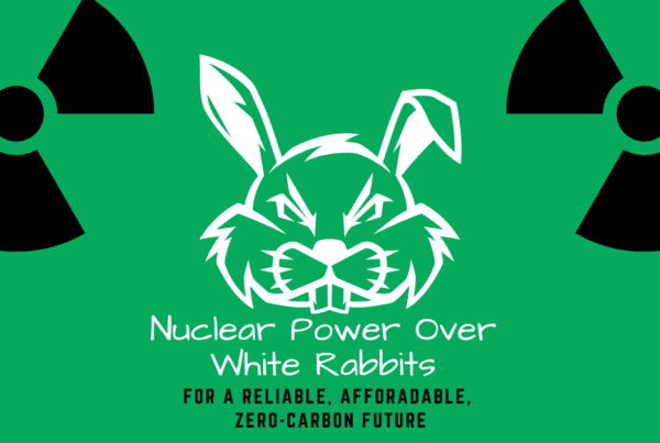 Nuclear Power over White Rabbits for a Reliable, Affordable, Zero-Carbon Future, Michaels Energy