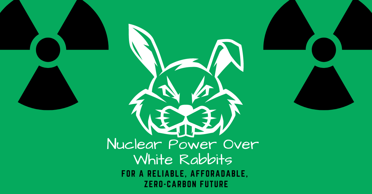 Nuclear Power over White Rabbits for a Reliable, Affordable, Zero-Carbon Future, Michaels Energy