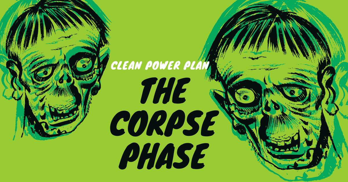 Clean Power Plan &#8211; The Corpse Phase, Michaels Energy