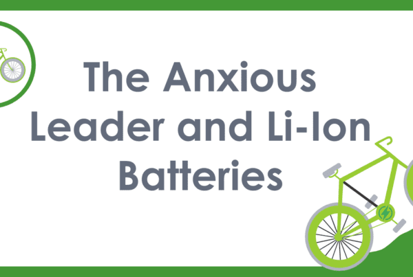 The Anxious Leader and Li-Ion Batteries, Michaels Energy