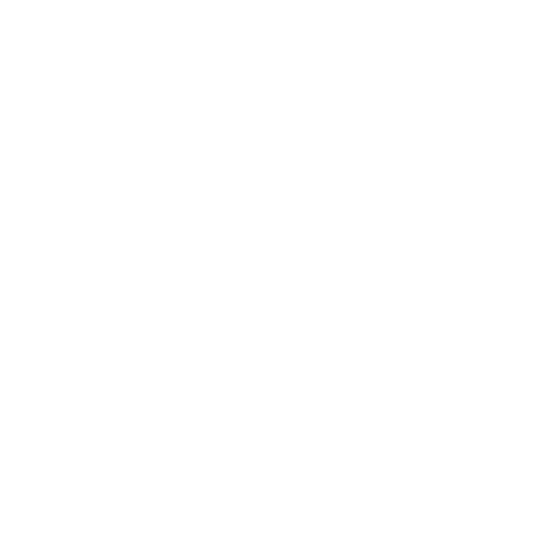 Veteran_Owned_Small_Business_WEB_white