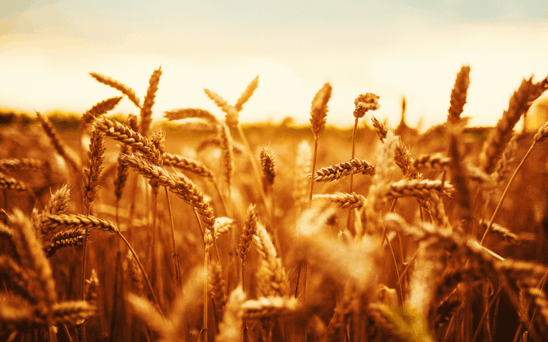 Strategic Energy Management