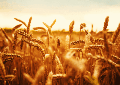 Strategic Energy Management
