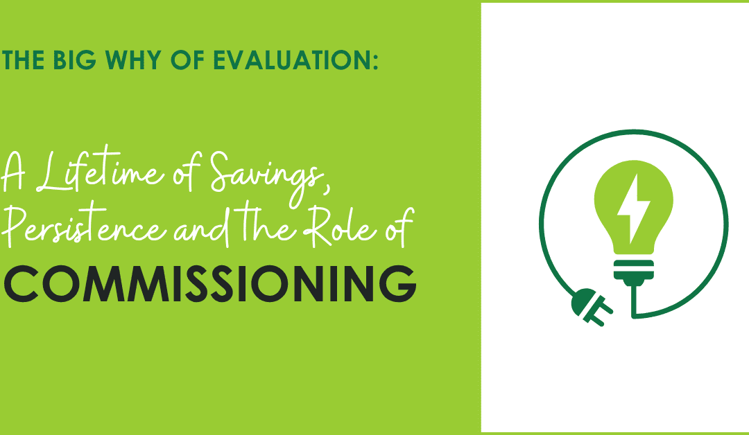 A Lifetime of Savings, Persistence and the Role of Commissioning