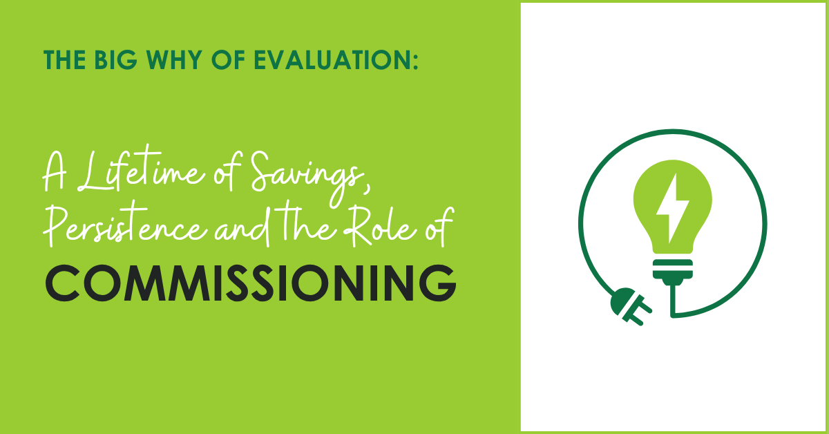 A Lifetime of Savings, Persistence and the Role of Commissioning