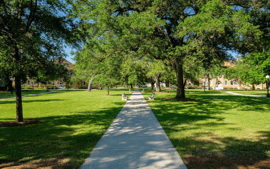 Minnesota Technical College – Commercial Efficiency Program